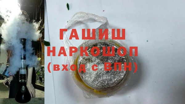 гашик Мегион