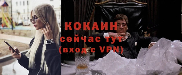 гашик Мегион