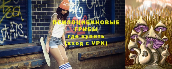 гашик Мегион