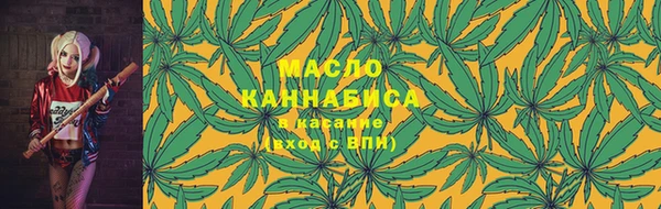 гашик Мегион