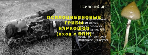 Альфа ПВП Медногорск