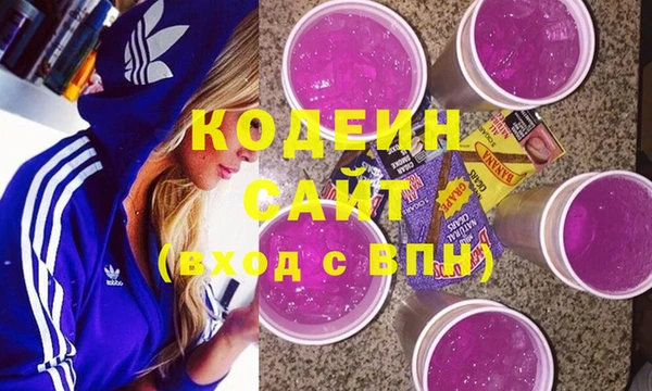 гашик Мегион