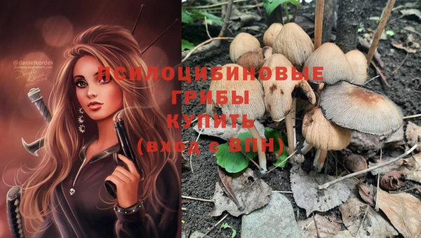 гашик Мегион
