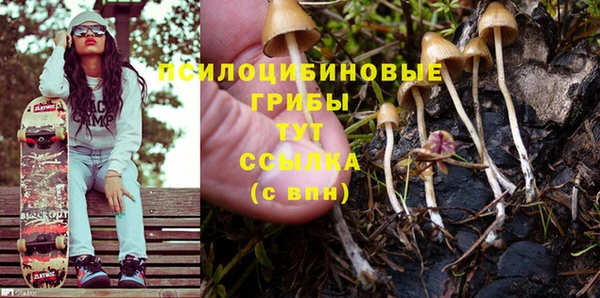 гашик Мегион