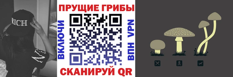 наркотики  ссылка на мегу ссылка  Галлюциногенные грибы ЛСД  Правдинск 